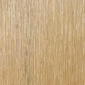 Sheoak
