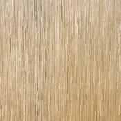 Sheoak