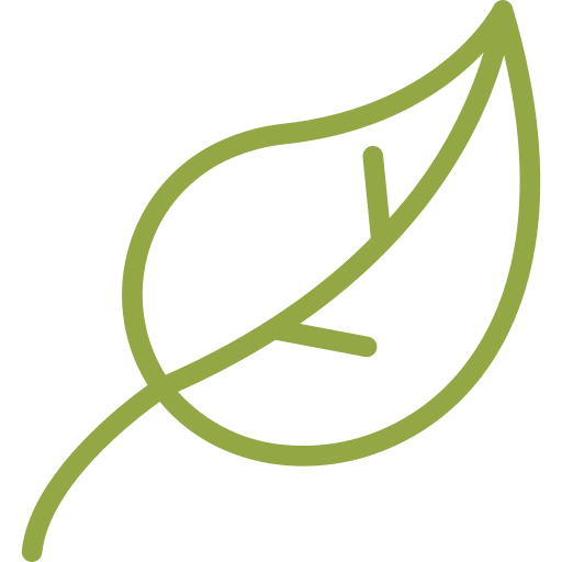 Green leaf outline icon
