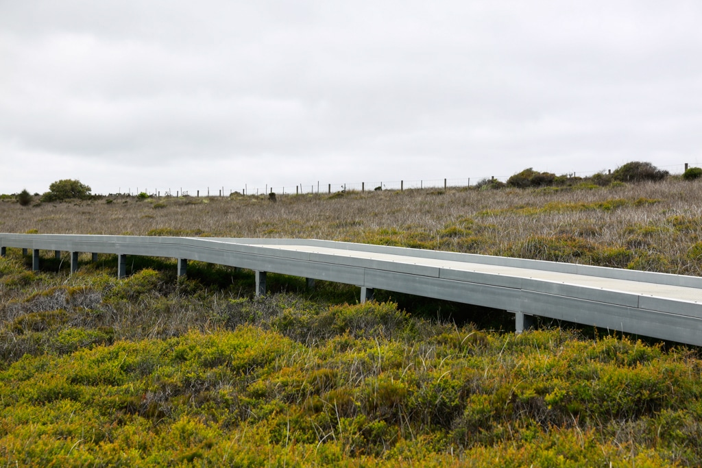 2017 12 17 5D C01B S1 0217